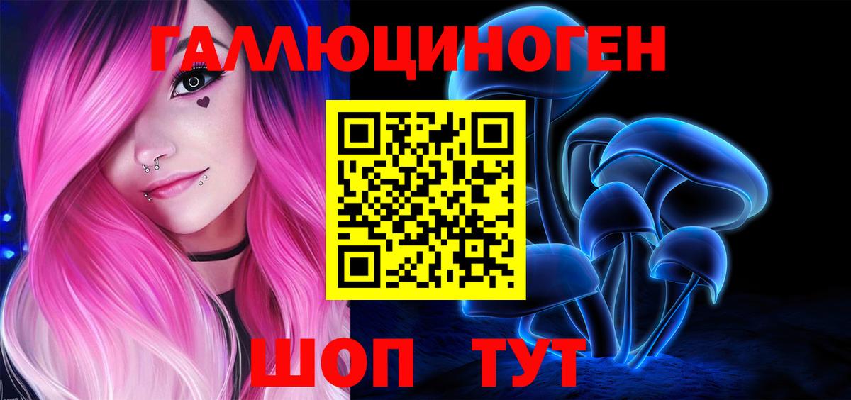 купить наркотики цена  Вход с VPN  Новозыбков  Псилоцибиновые грибы мухоморы  Псилоцибиновые грибы мухоморы 